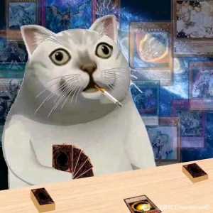 白龙双9要准阶先变一只大灵龙出来吗吗