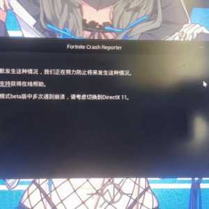 新手刚入坑，启动游戏后就会dx12报错