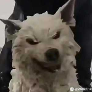 我6号18卡大毛哥就是一个出盛。