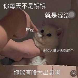 纯小白，预算15000左右，求牛爷爷帮助