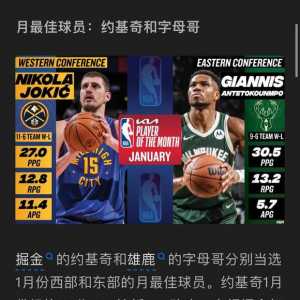 月最佳球员，大小王约基奇和扬尼斯