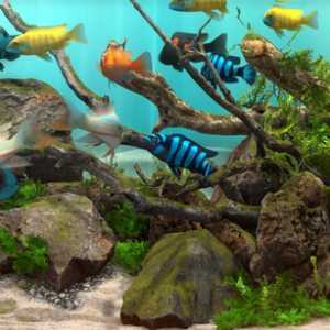 【玻璃背后：水族馆模拟器游戏】最新版中文简体免安装解压即可玩