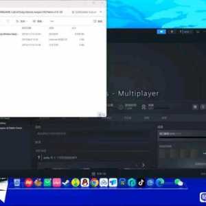 求助，游戏汉化补丁打不开