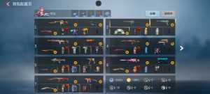 这游戏的有些玩家确实挺极端的