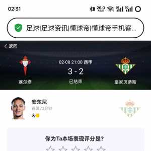 什么叫大明星啊