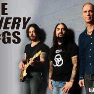 应求 The Winery Dogs（硬摇滚乐队）全集115