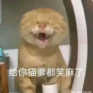 毁灭派，你们在哪里？