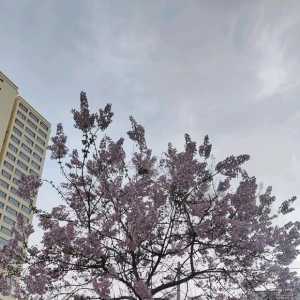 现在这个版本该怎么玩呢？