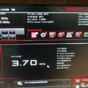 求助内存条问题，解决有偿可远程