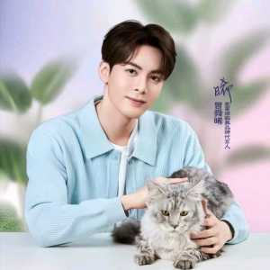 明星代言的猫粮能不能买？