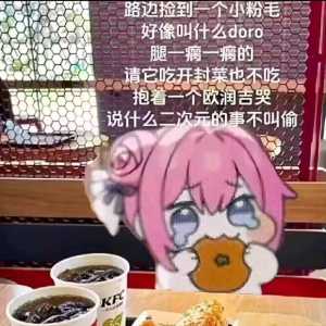 闪退咋解决啊？快一年没玩了，回来玩会，想着打打虫子，落地之前