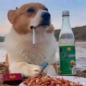 不管有没有3亿，今天就买七星彩。