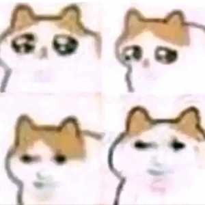 你们不准说星铁不关注dot队???