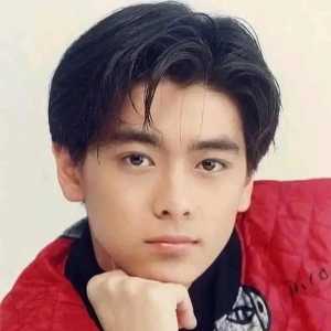 这个明星怎样