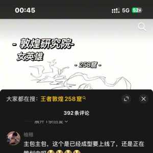 扒了一下敦煌新皮瓜…