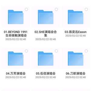 全球明星演唱会合集