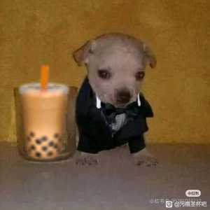 全是逃课的怎么办啊