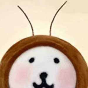 国服萌新入坑六天 五段有没有一起玩的呀