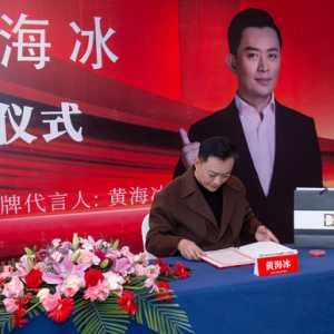 影视明星代言人黄海冰与DD鞋履共筑足下江山