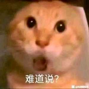 手机里有一款加强老角色会被喷的游戏