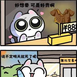 【收物】收明星气质棕大衣