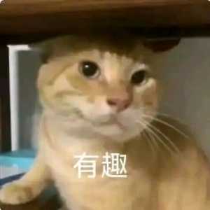 为什么信息位设计那么保守？