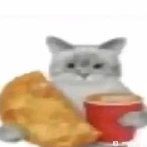 为啥我玩这游戏会疯狂闪退报错啊
