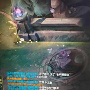 长这么大第一次见游戏里面地域黑的