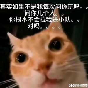 我玩这游戏快三个月了，据我观察有个很严重的bug