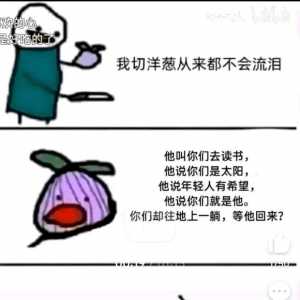 猪猪的命也是命