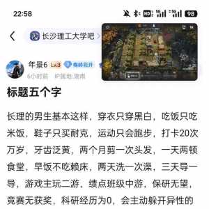 有没有这样的?砖喃啊