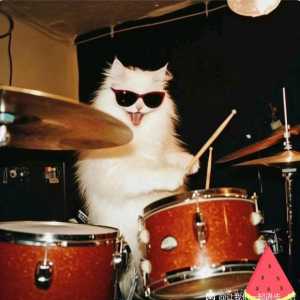 这是一个找搭子扩列楼