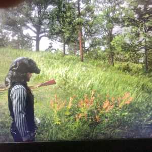 这游戏有鬼吗？