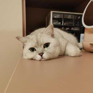 感觉找人打游戏越来越难了