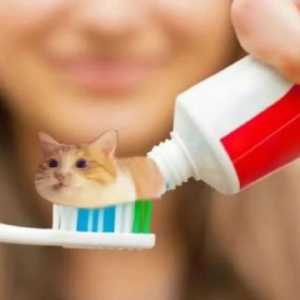 男朋友喜欢玩这个游戏，应该送他什么礼物呢