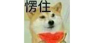 萌新想买个笔记本电脑