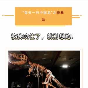 【视频图解】特暴龙:欧亚大陆的暴龙明星