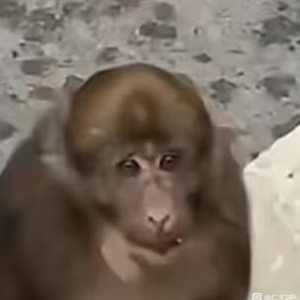 不会玩刷刷刷游戏，dlc3刮痧，教教我怎么提升伤害呀大佬们?