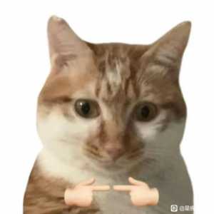 所以这游戏微氪能玩吗？