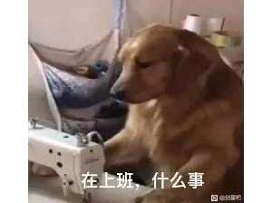 游戏很好玩，但是还是有个严重问题