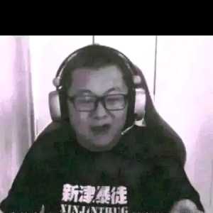 兄弟们有没有派系阵营图