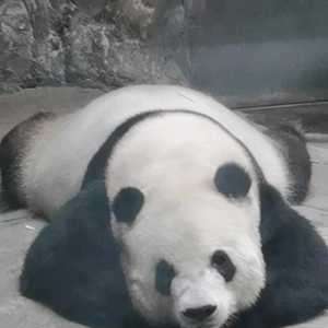 发帖求助手机想花3100多钱到3500左右的能买到非常值感觉