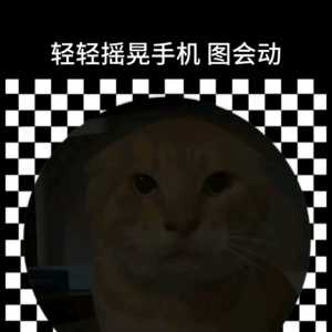 到底是加速器的问题还是游戏的问题