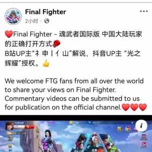 游戏推荐《Final Fighter》