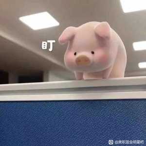 只有3000w合同。王朝怎么选择。