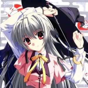 聊一聊我这个二次元对这个吧的看法