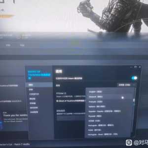 问一下这游戏steam端没有中文吗？