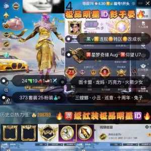 极品明星id 不玩了 ?