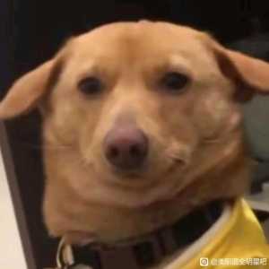 这游戏零氪还能玩吗