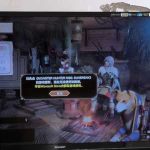 已失去游戏权限